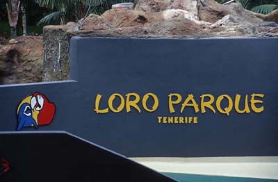 Loro Parque - Puerto de la Cruz / Tenerife