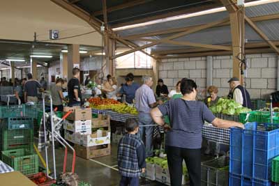 Mercado Granadilla de Abona - Bauernmarkt bei San Isodro - Teneriffa