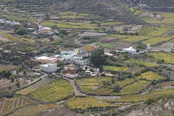 Weinanbau im Valle de Arriba - Teneriffa