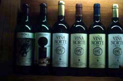 Vina Norte im Weinmuseum El Sauzal - Teneriffa / Kanaren