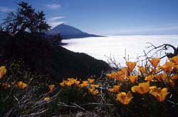 Pico del Teide - Teneriffa / Kanaren