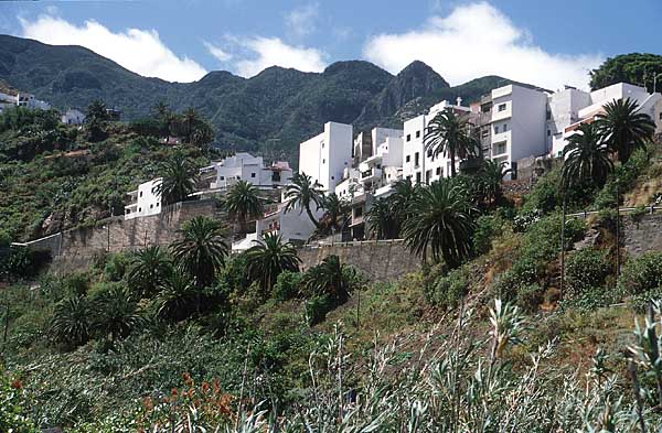 Taganana