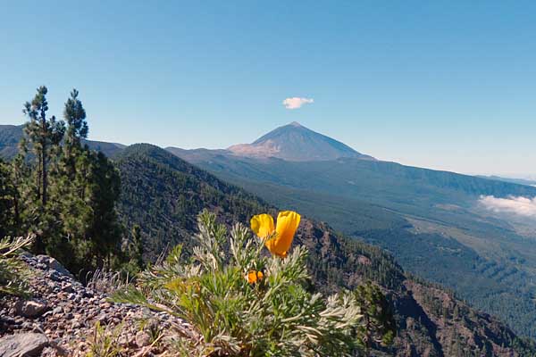 Blick zum Teide