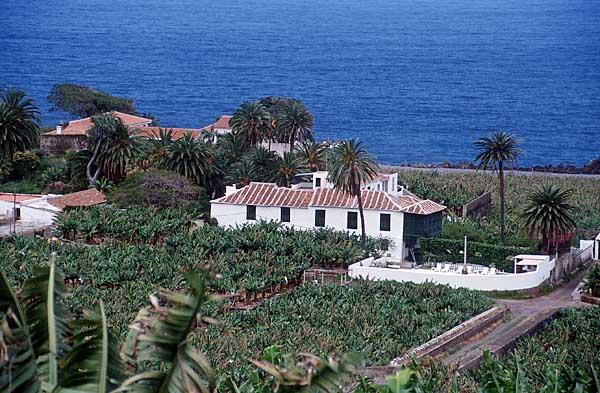 Teneriffa - Ferienfinca an der Nordküste bei Garachico