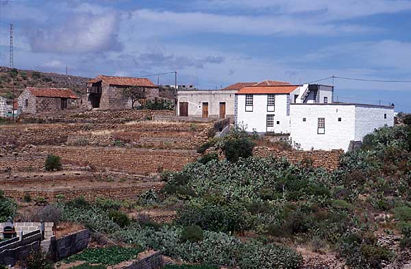 Kanarische Finca bei Arico