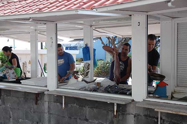 Frischer Fisch am Hafen von Las Galletas