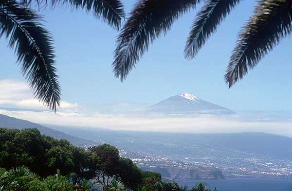 Nordküste mit Teide - Standpunkt: oberhalb von El Pris