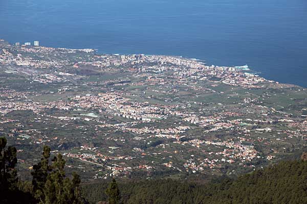 Blick auf das Orotavatal - Teneriffa