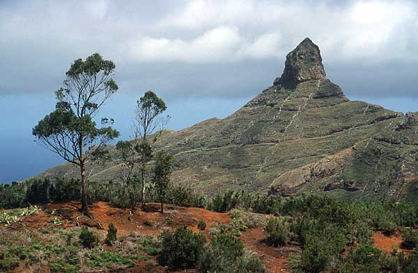 Roque de Taborno - Teneriffa