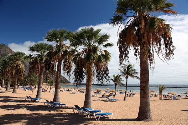 Karibikflair auf Teneriffa - Teneriffas schönster Strand lockt mit feinstem Saharasand und Palmen.