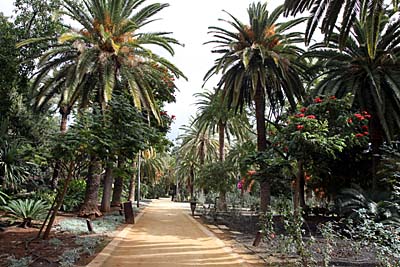 Parque Garcia Sanabria - Santa Cruz de Tenerife