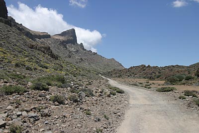 Wanderweg in den Canadas - Teneriffa