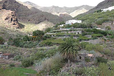 Carrizal - Bergdorf im Tenogebirge - Teneriffa