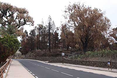Straße am Abzweig nach Valle de Arriba - Santiago del Teide - Teneriffa