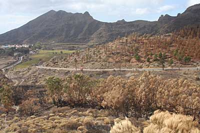 Blick nach Santiago del Teide - Teneriffa