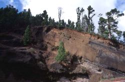 Cumbre Dorsal - Teneriffa