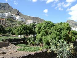 Igueste im Anagagebirge - Teneriffa