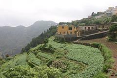 Las Carboneras im Anagagebirge - Teneriffa
