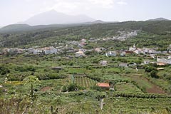 El Tanque - Teneriffa