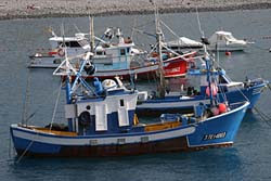 Fischerboote im Hafen von Playa de San Juan