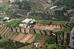 Terrassenfelder bei Los Realejos