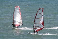 Windsurfen vor El Medano - Teneriffa