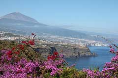 Unterhalb von La Matanza hat man diesen grandiosen Blick über die Nordküste zum Teide