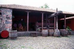 Weinmuseum El Sauzal - Teneriffa / Kanaren