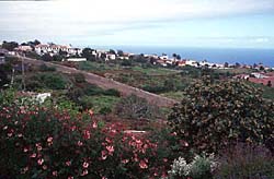 Teneriffa - Tacoronte