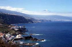 Teneriffa - Blick über El Pris und Mesa del Mar zum Teide