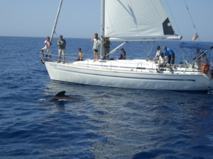 Segelyacht / Segelregatta