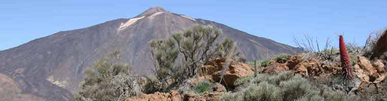 Teneriffa Ferienparadies